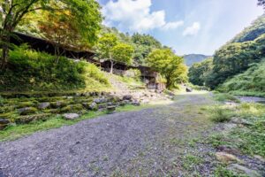 ーペット可キャンプ場で安心して楽しむための準備とマナー完全ガイドー