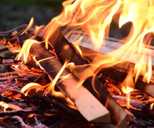 ーバンガロー付きキャンプ場の魅力と失敗しない選び方ガイドー